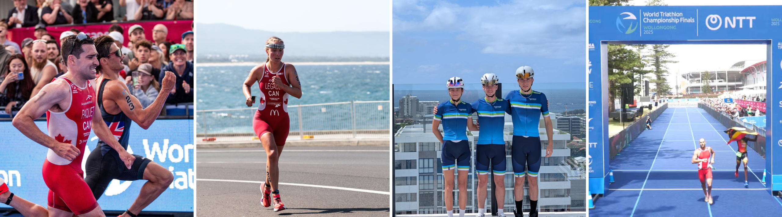 Wollongong_Article